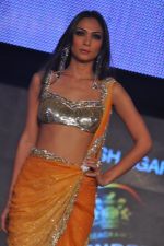 at Blenders Pride Fashion Tour 2011 Day 2 on 24th Sept 2011 (145).jpg